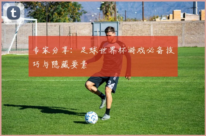 专家分享:足球世界杯游戏必备技巧与隐藏要素
