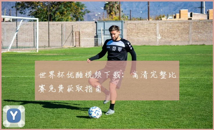 世界杯优酷视频下载：高清完整比赛免费获取指南
