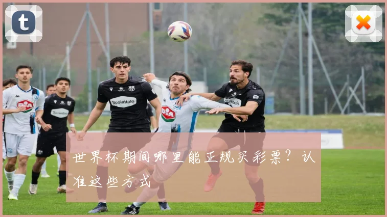 世界杯期间哪里能正规买彩票？认准这些方式