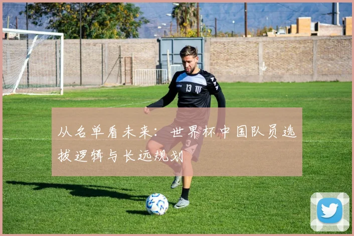 从名单看未来：世界杯中国队员选拔逻辑与长远规划